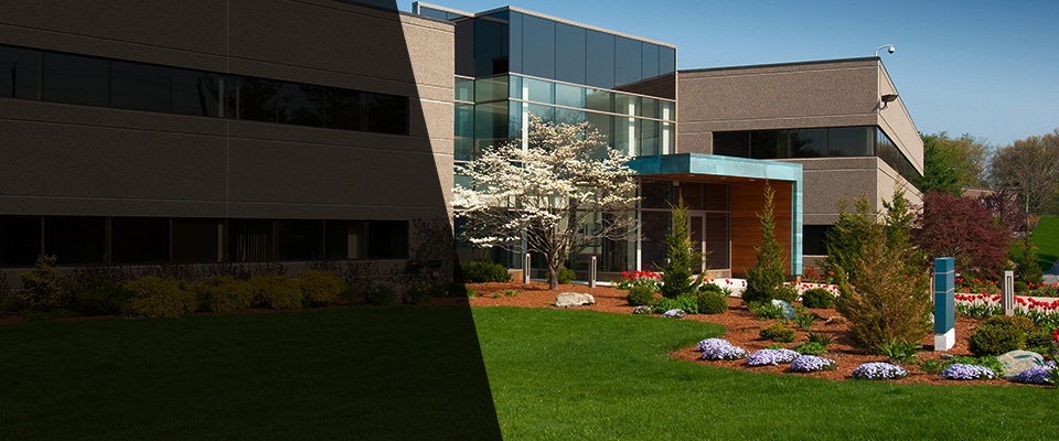 Monmouth Beach Landscapers