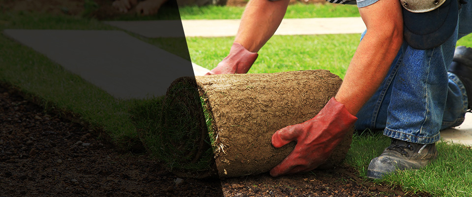 Monmouth Beach Landscapers